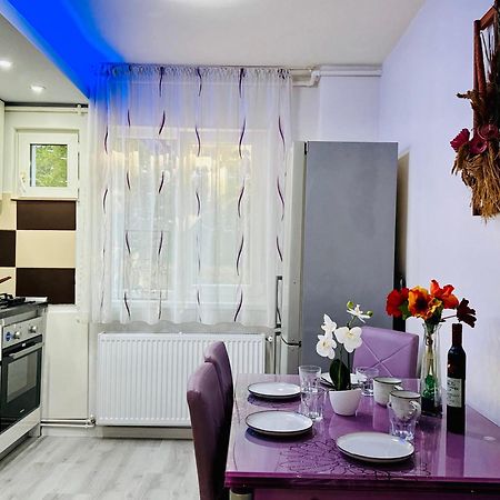 Joy City Stay Spacious Comfortable Timișoara Zewnętrze zdjęcie