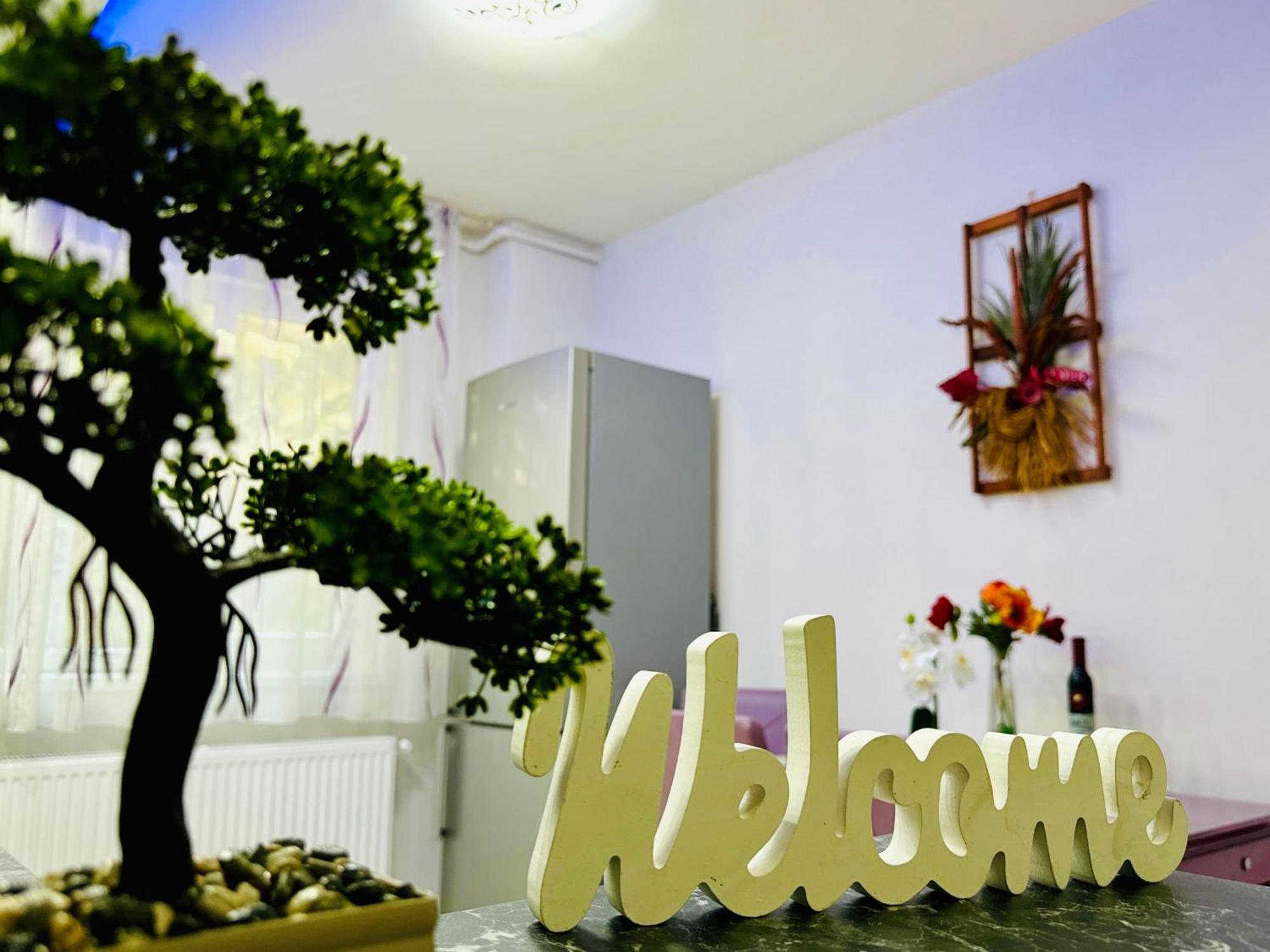 Joy City Stay Spacious Comfortable Timișoara Zewnętrze zdjęcie